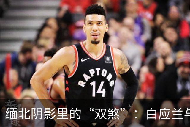 缅北阴影里的“双煞”：白应兰与魏榕的终局已至